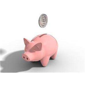 Piggy Bank Save Money